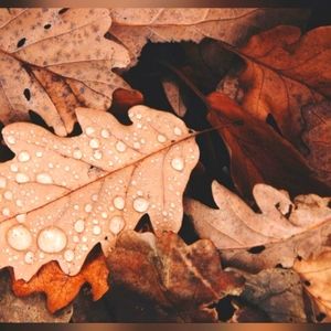 Meet your Posher, Chloe